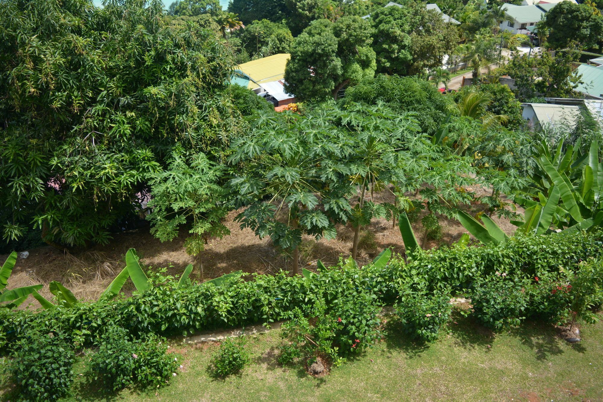 Manfiyo Guest House Anse Boileau Exteriér fotografie